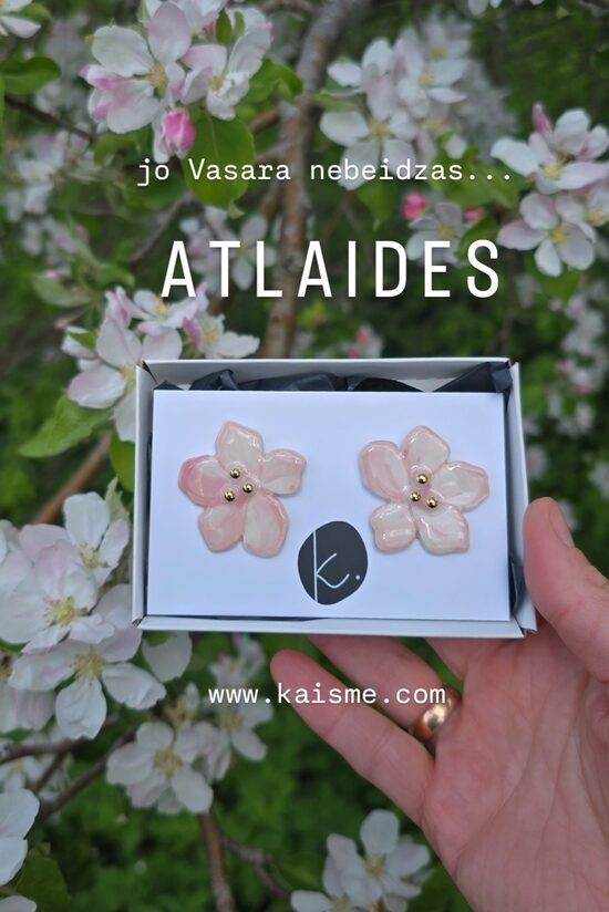 ROTAS & CITAS SMUKAS LIETAS