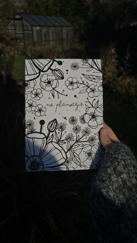 grāmata "ne plānotājs"