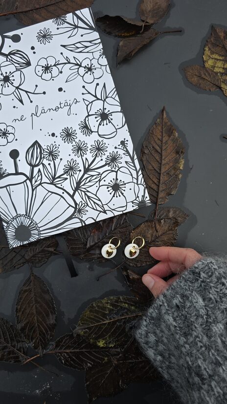 grāmata"ne plānotājs" + auskari ''es mīlu...''