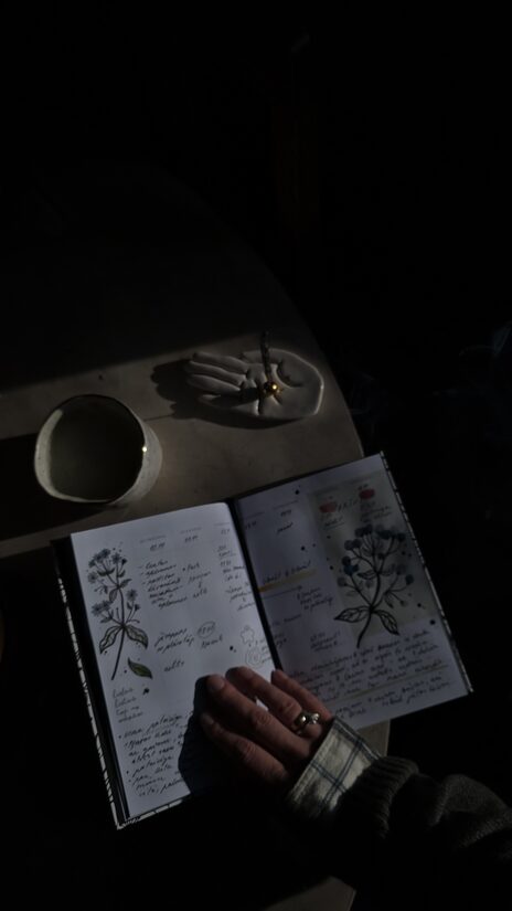 grāmata "ne plānotājs"