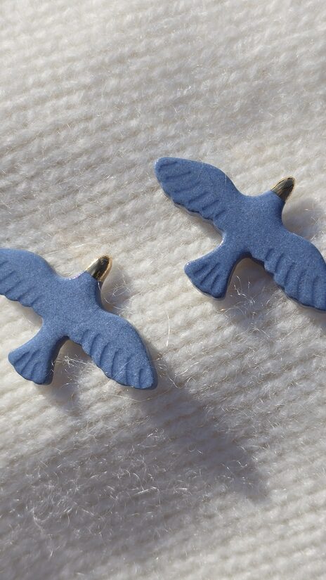 auskari... lido... zili