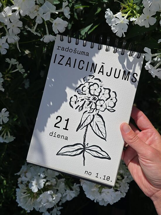 radošuma IZAICINĀJUMS